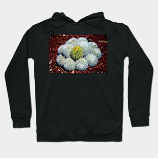 Cactus Hoodie